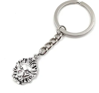 Produktbild von Onwomania Löwe Kopf König der Tiere Schlüsselanhänger Metall Glücksbringer in Alu Geschenkbox, ideal zum Verschenken