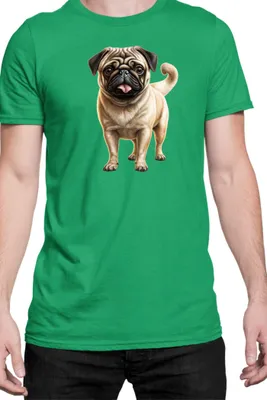 Immagine prodotto di Maglietta da uomo Dogs Breeds Pug Dog Breed 007, Man L , Vert