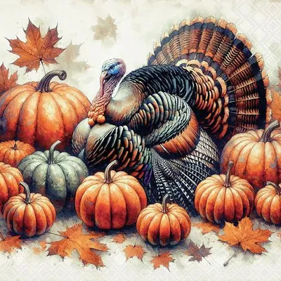 Produktbild von 20 Servietten Turkey - Truthahn an Kürbisse 33x33cm