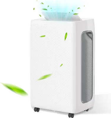 Image de Déshumidificateur d'air Jayseuw 16L/jour - Déshumidificateur d'air de construction - Réservoir amovible de 2L pour des pièces jusqu'à 25 m²
