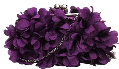 Image de Élégante pochette avec chaîne et fermoir à baiser, par paire