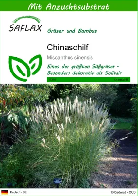 Produktbild von SAFLAX - Gräser-Bambus-Chinaschilf - 200 Samen - Mit keimfreiem Anzuchtsubstrat - Miscanthus sinensis