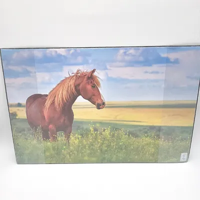Zdjęcie produktu dla Podkładka do pisania Kangaro koń antypoślizgowa 38x58cm dwie kieszenie na (13,99)