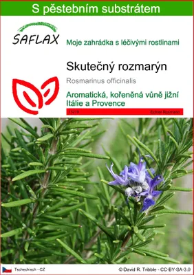 Obrázek produktu pro SAFLAX - Skutečný rozmarýn - Rosmarinus officinalis - 100 Semena - S pěstebním substrátem bez klíčků