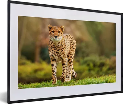 Produktbild von MuchoWow® Gerahmtes Poster Wildtiere - Gras - Leopard - Natur 60x40 cm - Poster mit Schwarzem Bilderrahmen Wandposter Rahmen Foto Bilder - Schlafzimmer - Plakat in Rahmen - Drucken
