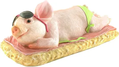 Produktbild von Schwein auf Luftmatratze, L ca. 38 cm