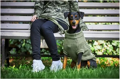 Produktbild von Wolters Zopf-Strickpullover, Größe:50 cm, Farbe:olive