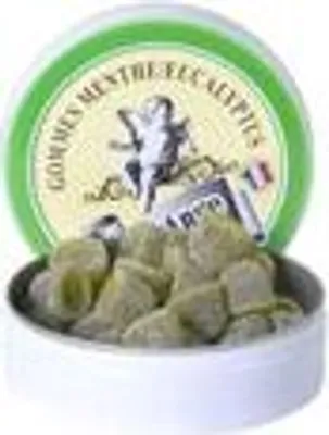 Produktbild von Saint-Ange Minze/Eukalyptus-Pastillen – Handgefertigte Pastillen aus Frankreich, 50g