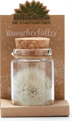 Produktbild von Die Stadtgärtner – Wunscherfüller I Echte Pusteblume im Glas I Ewig haltbar I Perfekte Geschenkidee für jeden Anlass I Geschenk zu Geburtstag, Weihnachte, Muttertag, Ostern etc.