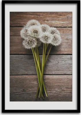 Produktbild von Bild - Bilderrahmen - 50 cm x 70 cm - MDF - Rahmen - Wandkunst Ein Blumenstrauß von Dandelern