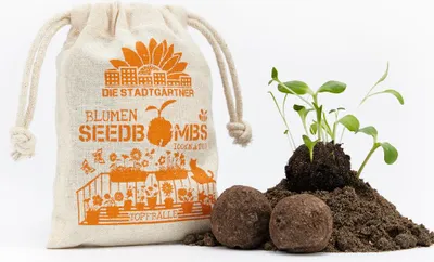Image de Bombes de graines « Topfbälle » : 8 bombes de graines dans un sac en jute, avec des graines de tournesol nain et de mauve pour la décoration