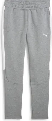 Produktbild von Puma teamEVOSTRIPE Trainingshose Herren grau heather silber Gr S