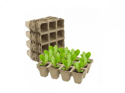 Immagine prodotto di Vasi di torba 15,5 x 11 x 5 cm/ 120 pz