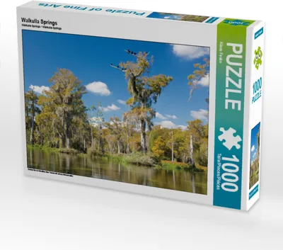 Produktbild von CALVENDO Puzzle Walkulla Springs | 1000 Teile Lege-Größe 64x48cm Foto-Puzzle für glückliche Stunden