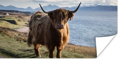 Produktbild von MuchoWow® Poster Schottische Highlander - Bergen - Meer 160x80 cm - Foto Poster