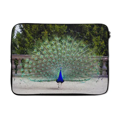 Produktbild von MuchoWow® Laptop Hülle 14 ZollPfau - Flügel - Schwanz Laptoptasche - Laptoptasche - Stoßsicher - Schutzhaube