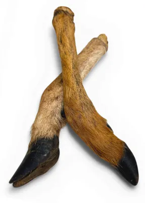 Produktbild von Hirschläufe 25 Stück Hundesnack Kausnack Hundeleckerlie getreidefrei für Hunde natürlich ohne Zusätze