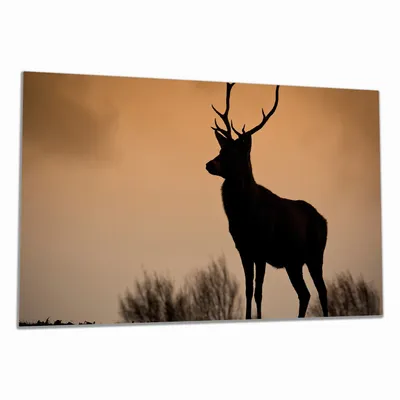 Produktbild von Wallario Herdabdeckplatte aus Glas, Größe 90 x 52 cm 1-teilig, Motiv Rothirsch am Abend