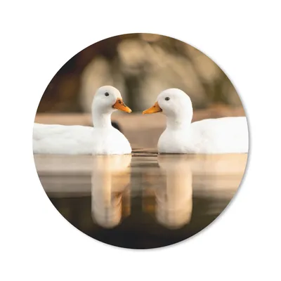 Produktbild von MuchoWow® Mauspad Mousepad Ente - Weiß - Tiere - Wasser - Vogel - Enten 50x50 cm - Mousepads - Maus Mat - Pad - Mausunterlage - Vinyl