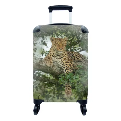 Produktbild von MuchoWow® Koffer Handgepäck Trolley Rollkoffer Kleine Reisekoffer mit 4 Rollen - Panther - Baum - Wilde Tiere - Cabin Size < 55x40x23 cm & 55x40x20 cm - Fotokoffer - Kabinenkoffer - Boardgepäck - Reise-Box - Reisekoffer - Reisegepäck - Koffer mit Bild - Trolley für Kinder