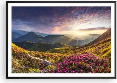 Produktbild von Gerahmtes Poster - Schwarzer Rahmen - Gebirge Wiese Landschaft Wald - 100x70 cm - Wand Bild - Wanddeko - Wandbilder - Wandposter - Bilderrahmen - Bilder - Kunstdruck - Wandbild - P2BAA100x70-3152