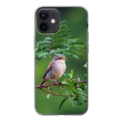Produktbild von MuchoWow® Handyhülle Schutzhülle Hülle für iPhone 12 Vogel - Baum - Wald Silikon Softcase Handy Hülle - Schutzhülle
