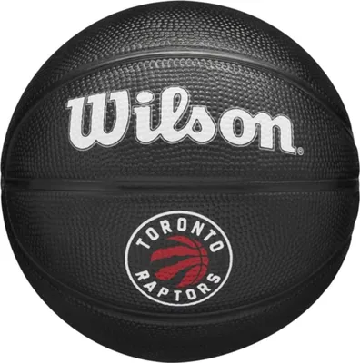 Produktbild von KugelWilson Team Tribute Toronto Raptors Mini Ball WZ4017608XB
