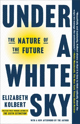 Produktbild von Under a White Sky