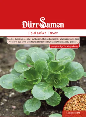 Artikelbild 1 von 'Feldsalat Favor' aus der Kategorie Feldsalatsamen