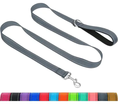 Productafbeelding van Taglory Hondenriem, grijs - Reflecterend, met gevoerd handvat, robuust voor honden tot 75 kg, 1,2 meter x 2,5 cm