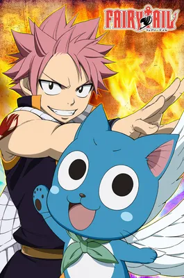 Image de Fairy Tail - Poster - Natsu & Happy