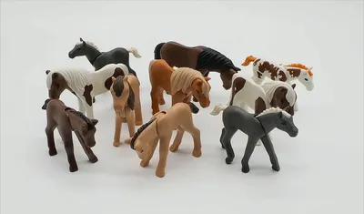 Obrázok produktu pre PLAYMOBIL 5 žriebät / mláďat koní