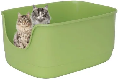 Produktbild von Jumbo-Katenaufbewahrung mit hohen Seitenwänden, Spatbrett und offener Oberseite, 61 x 48 x 31 cm, extra tief, groß, für mehrere Katzen, niedrige Einstiegshöhe, grün
