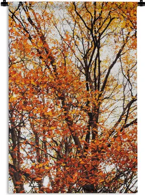 Produktbild von MuchoWow® Wandteppich Wandbehang Wald - Herbst - Jahreszeiten 120x180 cm Tapisserie Dekoration Wandtuch - Schlafzimmer - Dekorationen für das Haus