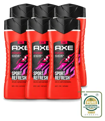 Obrázek produktu pro 6 kusů sprchového gelu AXE Sport Refresh, objem 250 ml, balení