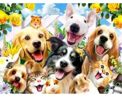 Produktbild von PRACHT Diamond Painting Tierisches Selfie 40x30cm