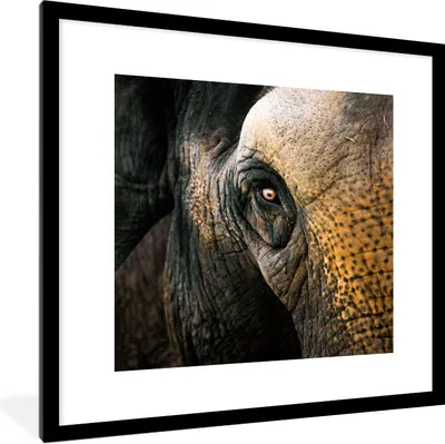 Produktbild von MuchoWow® Gerahmtes Poster Nahaufnahme eines Elefantenauges 40x40 cm - Poster mit Schwarzem Bilderrahmen Wandposter Rahmen Foto Bilder - Poster - Plakat im Rahmen