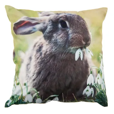 Produktbild von Clayre & Eef Kissenbezug 45x45 cm Grün Braun Polyester Quadrat Kaninchen