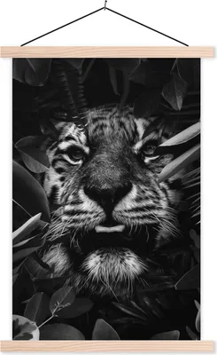 Produktbild von MuchoWow® Textilposter Tiger zwischen den Pflanzen - schwarz und weiß 40x60 cm mit holzfarbenen Rahmen - Poster