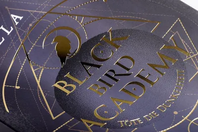 Produktbild von Black Bird Academy - Töte die Dunkelheit