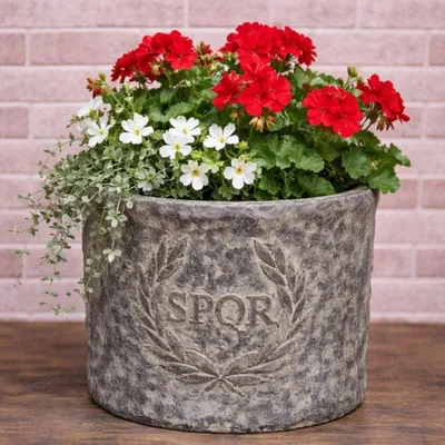 Produktbild von AltoBelli Blumentopf ROMA mit SPQR Wappen Antik Grau Patina Zement 16x15 cm