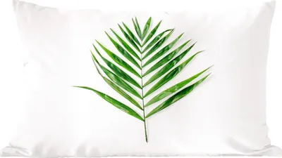 Produktbild von MuchoWow® Zierkissen Sofakissen Wohnzimmer Dekokissen 50x30 cm Grün - Blatt - Tropisch - Wohnzimmerdekoration - Polster mit Photo