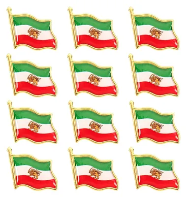 Produktbild von Set mit 12 Broschen mit dem iranischen Löwen-Symbol, geeignet für Kleidung und Accessoires