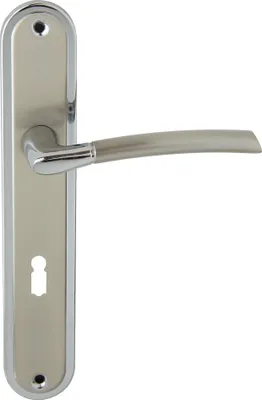 A door handle set with a long plate and a keyhole.