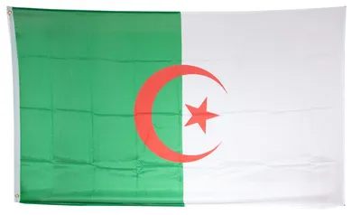 Produktbild von Flagge 90 x 150 : Algerien