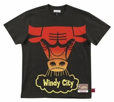 Zdjęcie produktu dla Koszulka Sportowa Mitchell & Ness NBA Logo Chicago Bulls T-Shirt Czarna