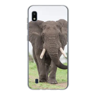 Produktbild von MuchoWow® Handyhülle Schutzhülle Hülle für Samsung Galaxy A10 Elefant - Tiere - Gras - Natur Silikon Softcase Handy Hülle - Schutzhülle