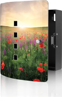 Zdjęcie produktu dla Skrzynka na klucze banjado Design ze stali nierdzewnej na 10 kluczy, wymiary 24 x 21,5 x 7 cm, z zamknięciem magnetycznym,  Sommerfeld [BWSK 12679]