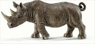 Image de Nashorn