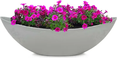 Produktbild von Große ovale Pflanzschale Jardiniere 39 cm in Stein-Optik hell-grau
